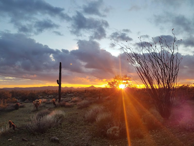 Arizona desert sunset with a saguaro cactus, a reminder to let go and trust
